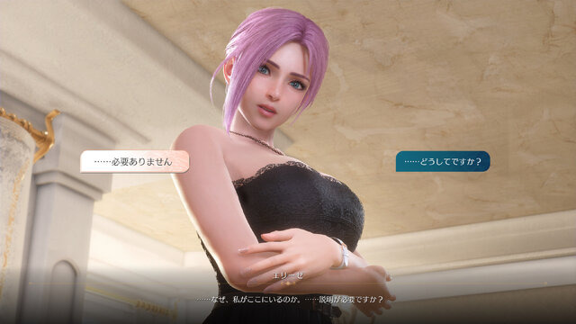 ヒロインがすぐそこにいる存在感を味わってほしい！『Venus Vacation PRISM - DEAD OR ALIVE Xtreme -』プロデューサーインタビュー