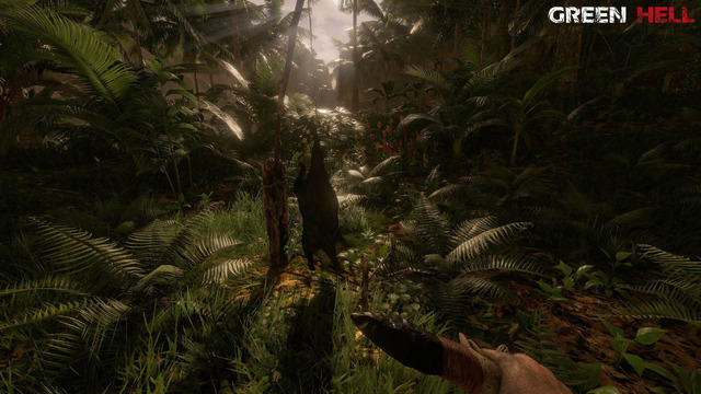 アマゾン熱帯雨林サバイバル Green Hell 早期アクセス開始 謎の部族が現るローンチトレイラーも 全画面画像10枚目 Game Spark 国内 海外ゲーム情報サイト